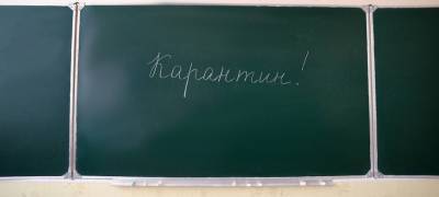 В Петрозаводске шесть классов отправлены на карантин по ОРВИ