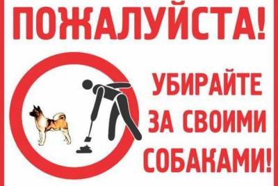 Ярославцы написали Путину о собачьих какашках