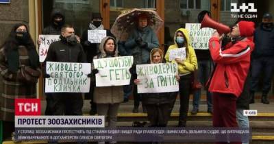 Высший совет правосудия пикетировали зоозащитники с требованием уволить судью, которая оправдала живодера - tsn.ua - Киев