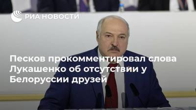 Песков прокомментировал слова Лукашенко об отсутствии у Белоруссии друзей