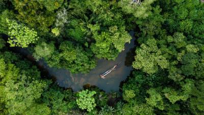 Амазонские леса начали «нагревать» планету