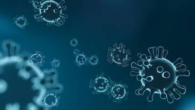 В Латвии лаборатория обнаружила угандийский штамм коронавируса