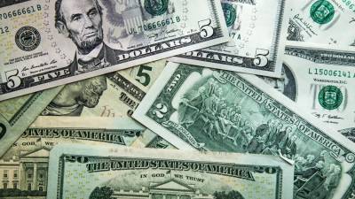 Эксперт оценила вероятность обвала доллара