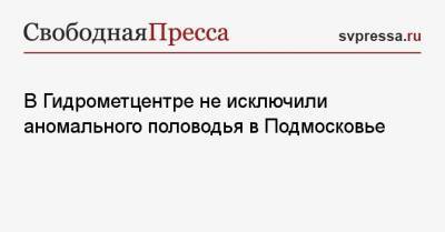 В Гидрометцентре не исключили аномального половодья в Подмосковье