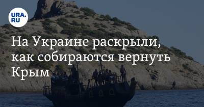 Александр Лиев - На Украине раскрыли, как собираются вернуть Крым - ura.news - Киев - Крым