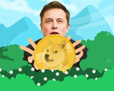 Илон Маск задумался о покупке сиба-ину, который является символом Dogecoin