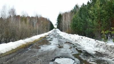 Дорога к лагерям на Светлой Поляне превратилась в тропу испытаний