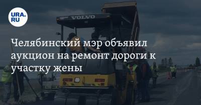 Челябинский мэр объявил аукцион на ремонт дороги к участку жены. Источник