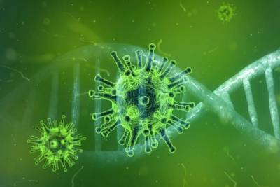 Рядом с Россией обнаружили малоизученный и потенциональный опасный штамм коронавируса