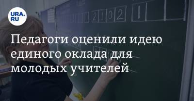 Евгений Ямбург - Педагоги оценили идею единого оклада для молодых учителей - ura.news