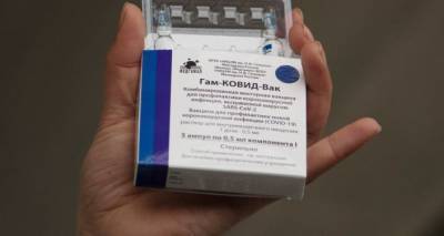 Глава ПАСЕ заявил об интересе Евросоюза к вакцине "Спутник V"