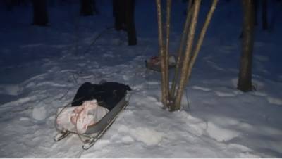 В Смоленской области поймали браконьера в окровавленной одежде и с санками