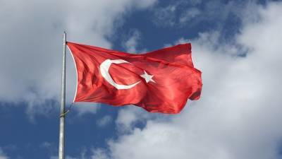 Эксперт прокомментировал ситуацию с анкетами, необходимыми для въезда в Турцию