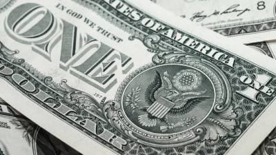 Перечислены факторы защиты доллара от резкого обвала