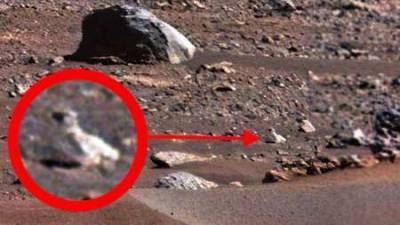 Уфолог Скотт Уоринг увидел на снимках NASA с Марса живых пингвинов