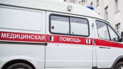 Двухлетнюю девочку госпитализировали после нападения немецкой овчарки в Москве
