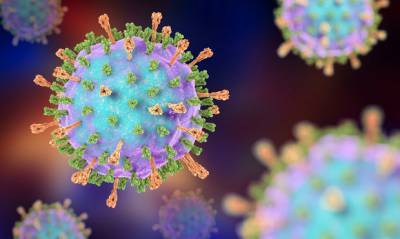 Ученые выявили «украинский» штамм коронавирусной инфекции