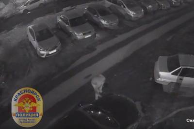 Появилось видео массового прокола колес машин в Красноярске