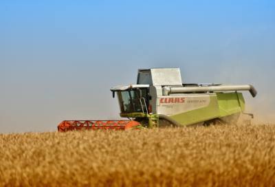 Бизнес опасается роста цен на пшеницу, картофель и овощи в России
