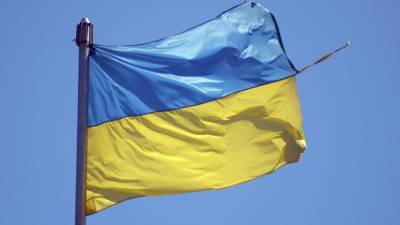 Украинский журнал заявил о необходимости национализации завода «Мотор Сич»