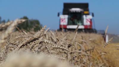 Цены на овощи и пшеницу в России могут вырасти из-за увеличения утильсбора