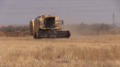 Новости на "России 24". Посольство РФ в Вашингтоне: военные США воруют пшеницу на полях Сирии