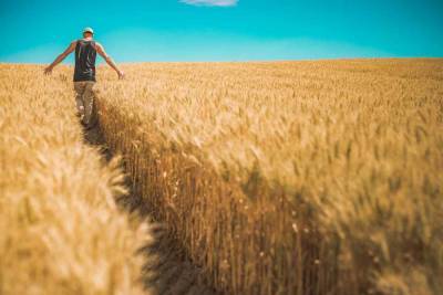 Бизнес увидел риски роста цен на пшеницу и овощи из-за увеличения утильсбора