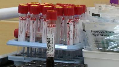 Первые два случая заражения южноафриканским штаммом коронавируса зарегистрировали в России