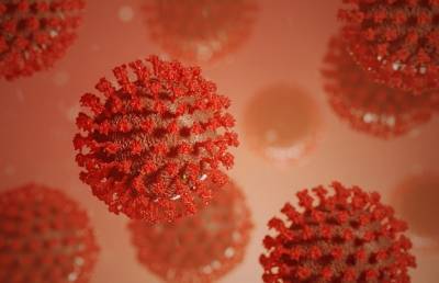 Южноафриканский штамм коронавируса выявили в России