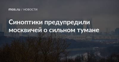 Синоптики предупредили москвичей о сильном тумане