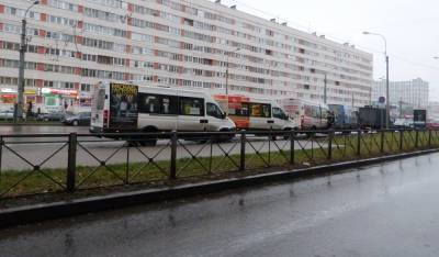В Петербурге идет борьба с нелегальными перевозчиками