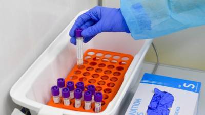 Новый штамм коронавируса обнаружили на северо-западе Франции