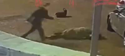 Видео: петербуржец убивает прохожего, потому что тот показался ему нечистой силой