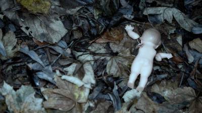 Предположительно нога ребенка в пакете найдена в Ленинградской области