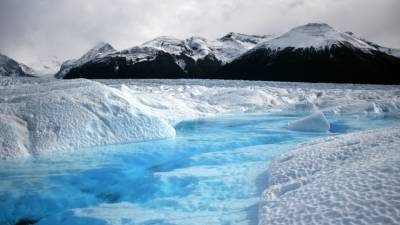 Международная группа ученых определила изменения в климате Арктики по бивням нарвалов