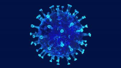На северо-западе Франции обнаружили новую мутацию коронавируса
