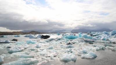 В Гренландии нашли древние растения подо льдом на глубине 1,5 километра
