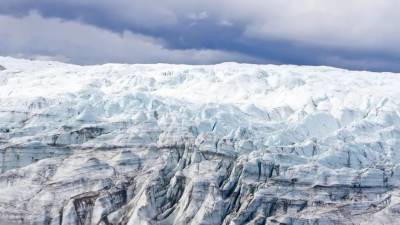 Сверхсекретный проект времен холодной войны скрывал ископаемые растения - news.bigmir.net - Гренландия