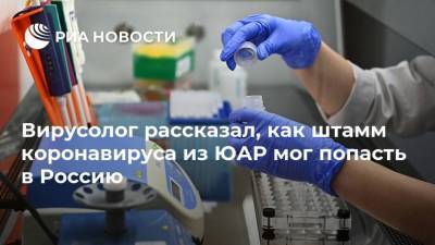 Вирусолог рассказал, как штамм коронавируса из ЮАР мог попасть в Россию