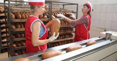 Эксперты прогнозируют подорожание хлеба: насколько вырастет цена