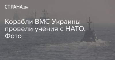 Корабли ВМС Украины провели учения с НАТО. Фото