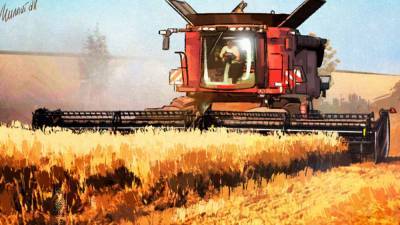 Минсельхоз заявил о готовности отказаться от регулирования рынка зерна