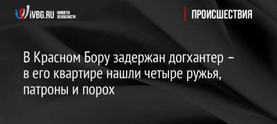 В Красном Бору задержан догхантер – в его квартире нашли четыре ружья, патроны и порох