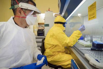 Во Франции обнаружили новый штамм коронавируса