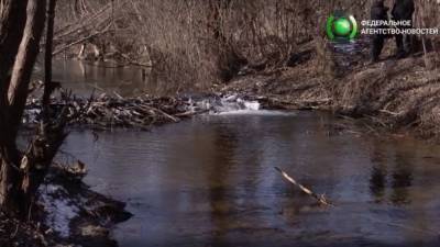 Борьба за воду в ЛНР: Минприроды дало старт мероприятиям по расчистке русел рек