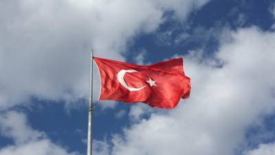 В Турции назвали условия отмены теста на коронавирус