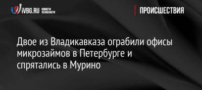 Двое из Владикавказа ограбили офисы микрозаймов в Петербурге и спрятались в Мурино