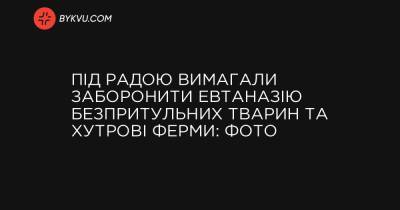 Під Радою вимагали заборонити евтаназію безпритульних тварин та хутрові ферми: фото