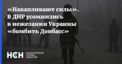 «Накапливают силы». В ДНР усомнились в нежелании Украины «бомбить Донбасс»