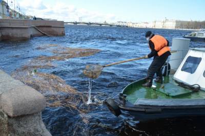 «Экострой» очистит водоемы Петербурга за 230 млн рублей